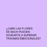¿Cómo las flores de Bach pueden ayudarte a superar traumas emocionales?