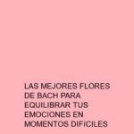 Las mejores flores de Bach para equilibrar tus emociones en momentos difíciles
