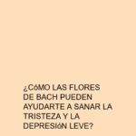 ¿Cómo las flores de Bach pueden ayudarte a sanar la tristeza y la depresión leve?