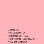 Cómo la naturopatía promueve una digestión saludable con remedios naturales