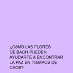 ¿Cómo las flores de Bach pueden ayudarte a encontrar la paz en tiempos de caos?